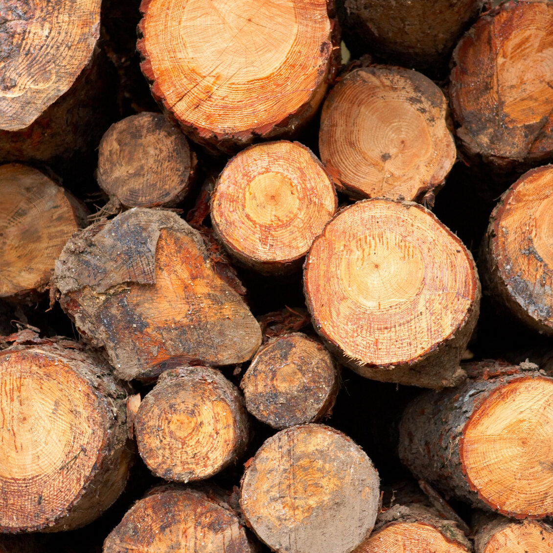 Wood log biomass fuel